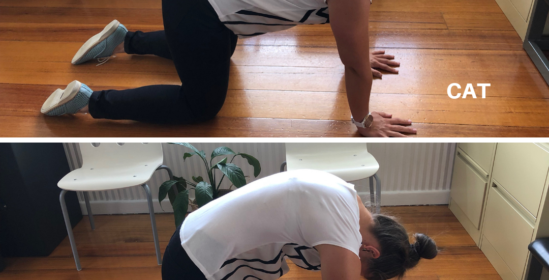 Images of a woman performing the Cat Camel Thoracic Mobility Exercise