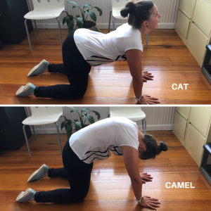 Images of a woman performing the Cat Camel Thoracic Mobility Exercise