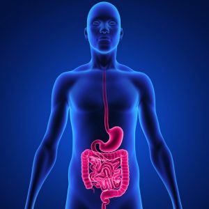 Image showing good digestive health