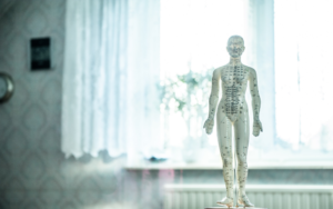 Image of a human body depicting osteopathy