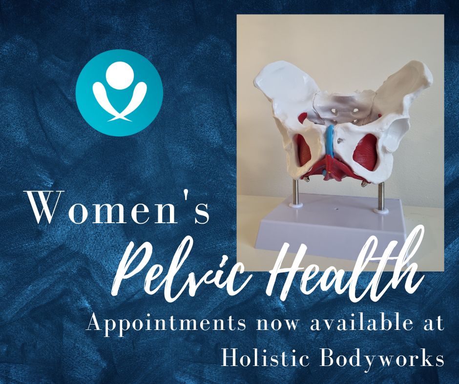 Image depicting that women's pelvic health appointments are now available at Holistic Bodyworks